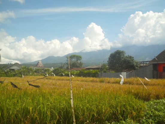 view in Batu, MALANG