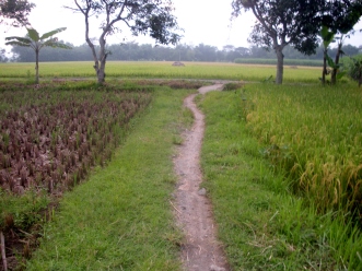 trail to my village 